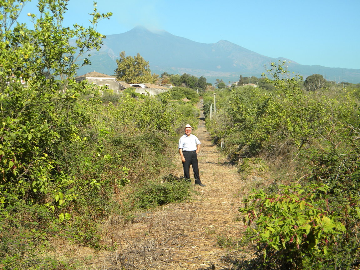 DSCN8153 .JPG